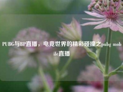 PUBG与BP直播，电竞世界的精彩碰撞之pubg mobile直播