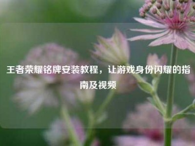 王者荣耀铭牌安装教程，让游戏身份闪耀的指南及视频