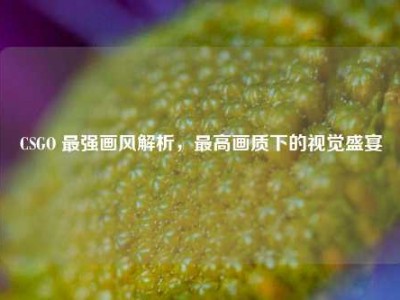 CSGO 最强画风解析，最高画质下的视觉盛宴