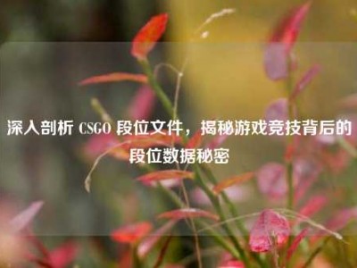 深入剖析 CSGO 段位文件，揭秘游戏竞技背后的段位数据秘密