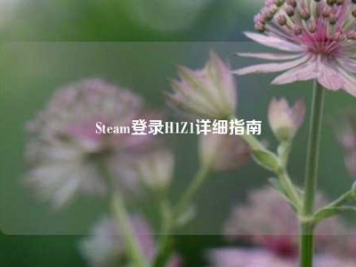 Steam登录H1Z1详细指南