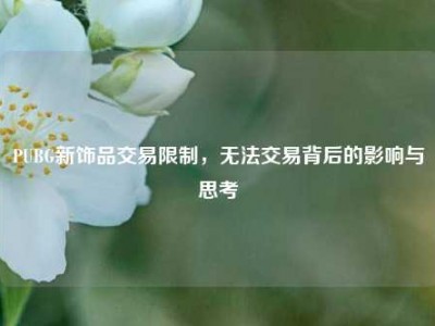 PUBG新饰品交易限制，无法交易背后的影响与思考