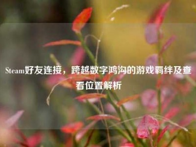 Steam好友连接，跨越数字鸿沟的游戏羁绊及查看位置解析