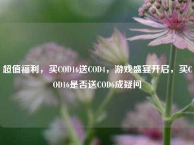 超值福利，买COD16送COD4，游戏盛宴开启，买COD16是否送COD6成疑问