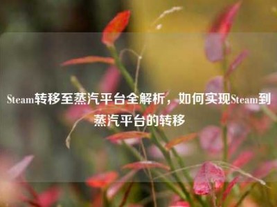 Steam转移至蒸汽平台全解析，如何实现Steam到蒸汽平台的转移