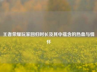 王者荣耀玩家回归时长及其中蕴含的热血与情怀