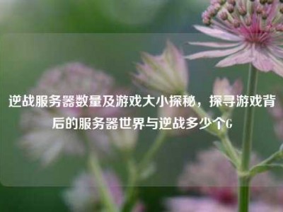 逆战服务器数量及游戏大小探秘，探寻游戏背后的服务器世界与逆战多少个G