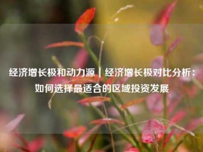 经济增长极和动力源｜经济增长极对比分析：如何选择最适合的区域投资发展