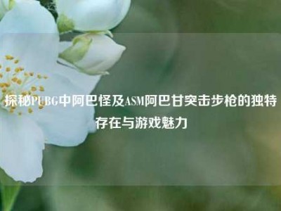 探秘PUBG中阿巴怪及ASM阿巴甘突击步枪的独特存在与游戏魅力