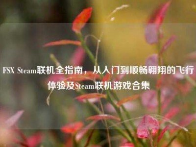 FSX Steam联机全指南，从入门到顺畅翱翔的飞行体验及Steam联机游戏合集