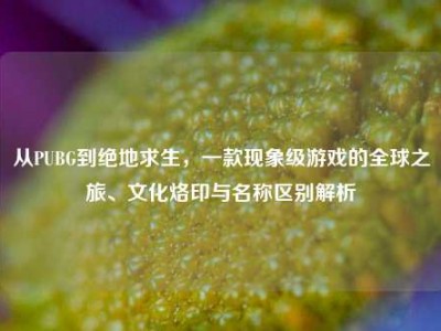 从PUBG到绝地求生，一款现象级游戏的全球之旅、文化烙印与名称区别解析