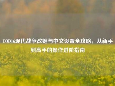 COD16现代战争改键与中文设置全攻略，从新手到高手的操作进阶指南