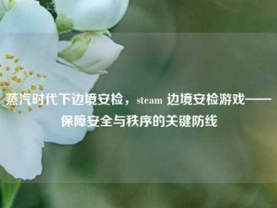 蒸汽时代下边境安检，steam 边境安检游戏——保障安全与秩序的关键防线