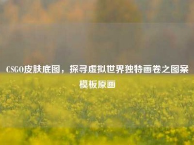 CSGO皮肤底图，探寻虚拟世界独特画卷之图案模板原画