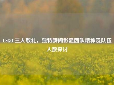 CSGO 三人敬礼，独特瞬间彰显团队精神及队伍人数探讨