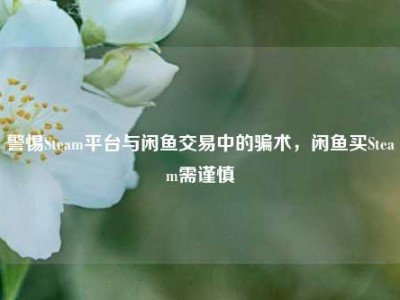 警惕Steam平台与闲鱼交易中的骗术，闲鱼买Steam需谨慎