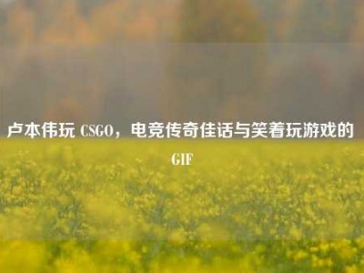 卢本伟玩 CSGO，电竞传奇佳话与笑着玩游戏的 GIF