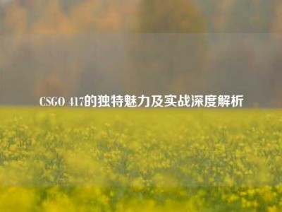 CSGO 417的独特魅力及实战深度解析