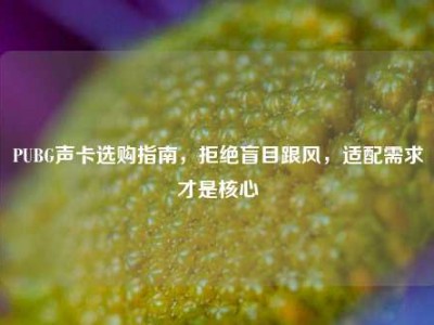 PUBG声卡选购指南，拒绝盲目跟风，适配需求才是核心