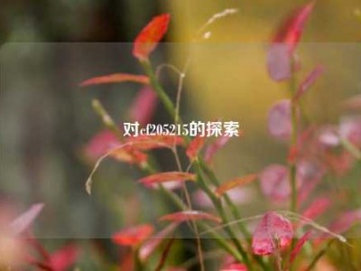 对cf205215的探索