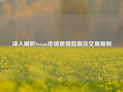深入解析Steam市场使用指南及交易规则