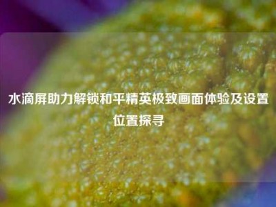 水滴屏助力解锁和平精英极致画面体验及设置位置探寻