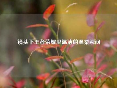 镜头下王者荣耀里温洁的温柔瞬间