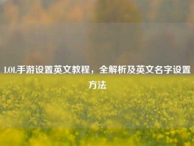 LOL手游设置英文教程，全解析及英文名字设置方法