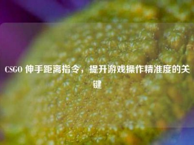 CSGO 伸手距离指令，提升游戏操作精准度的关键