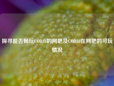 探寻能否畅玩COD16的网吧及COD16在网吧的可玩情况