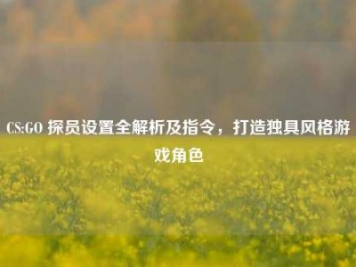CS:GO 探员设置全解析及指令，打造独具风格游戏角色