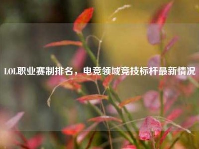 LOL职业赛制排名，电竞领域竞技标杆最新情况