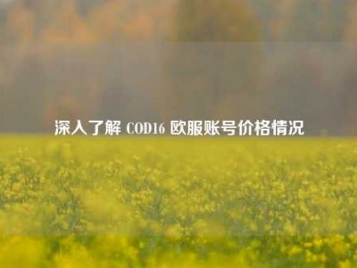深入了解 COD16 欧服账号价格情况