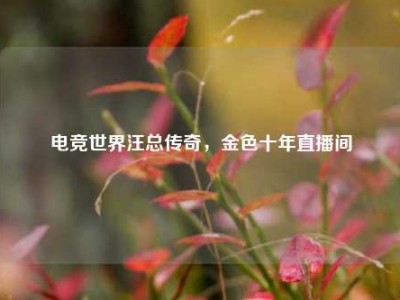 电竞世界汪总传奇，金色十年直播间