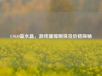 CSGO蓝水晶，游戏璀璨明珠及价格探秘