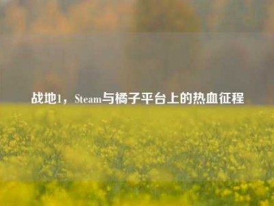 战地1，Steam与橘子平台上的热血征程