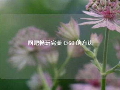网吧畅玩完美 CSGO 的方法