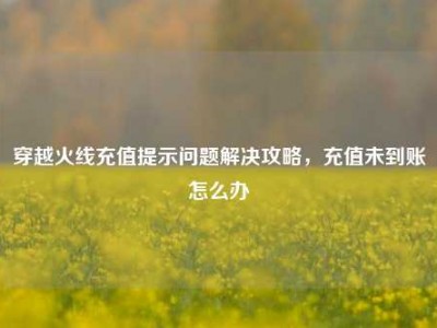 穿越火线充值提示问题解决攻略，充值未到账怎么办