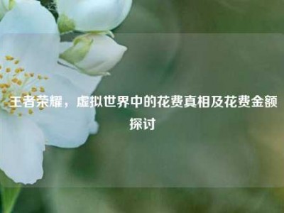王者荣耀，虚拟世界中的花费真相及花费金额探讨
