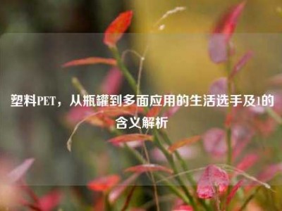 塑料PET，从瓶罐到多面应用的生活选手及1的含义解析