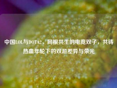 中国LOL与DOTA2，同根共生的电竞双子，共铸热血年轮下的双游差异与荣光