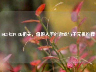 2020年PUBG相关，值得入手的游戏与千元机推荐