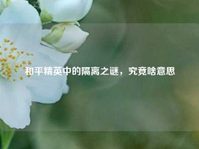 和平精英中的隔离之谜，究竟啥意思