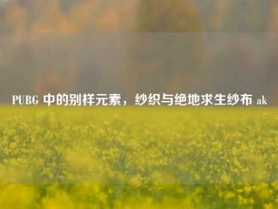 PUBG 中的别样元素，纱织与绝地求生纱布 ak