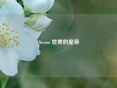 Steam 世界的皇帝