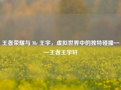 王者荣耀与 Mc 王宇，虚拟世界中的独特碰撞——王者王宇轩