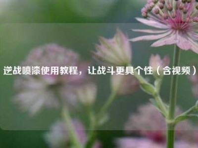 逆战喷漆使用教程，让战斗更具个性（含视频）