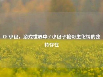 CF 小包，游戏世界中cf 小包子枪哥生化情的独特存在