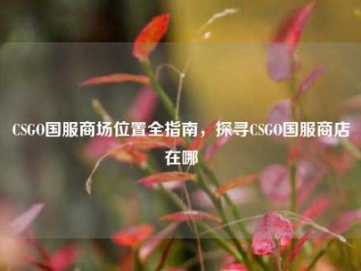 CSGO国服商场位置全指南，探寻CSGO国服商店在哪