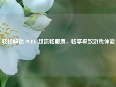 轻松解锁 PUBG 超流畅画质，畅享极致游戏体验